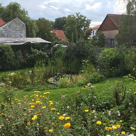 Schoene Gemuetliche Ferienwohnung Mit Kamin II Im Harz Darlingerode ภายนอก รูปภาพ