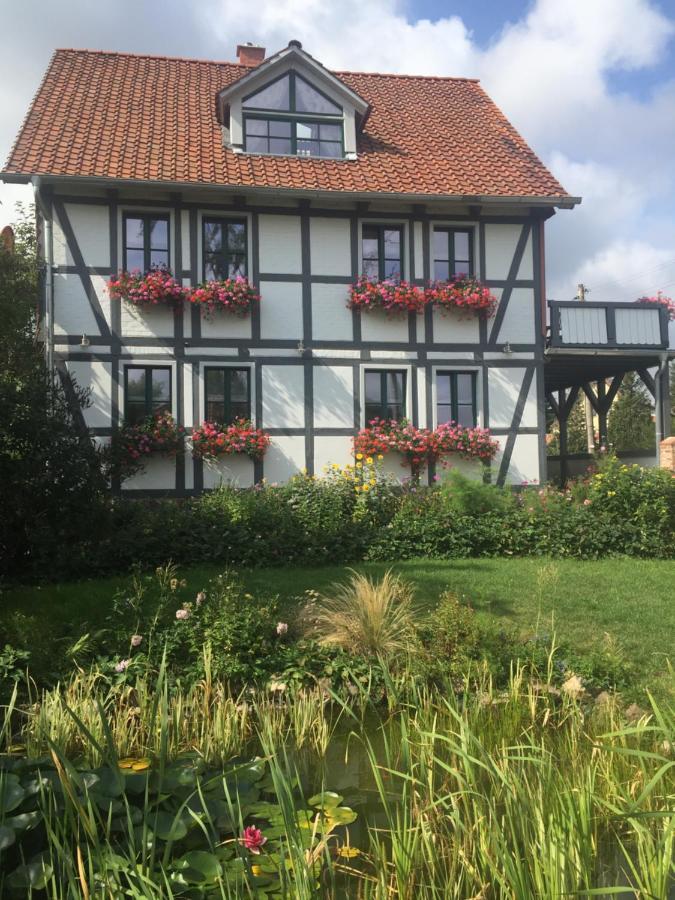 Schoene Gemuetliche Ferienwohnung Mit Kamin II Im Harz Darlingerode ภายนอก รูปภาพ